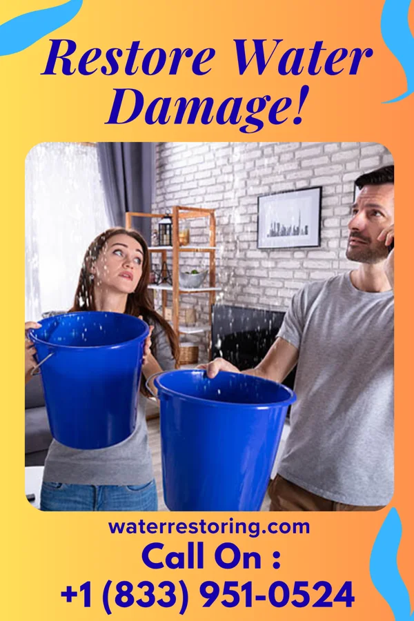 water restoration North Water Removal Solutions Linden
