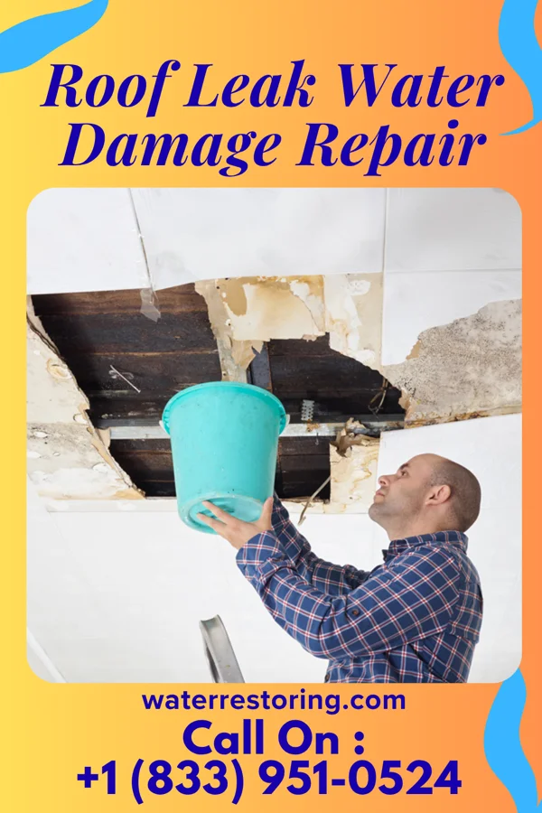 Roof Leak Water Damage Repair in Linden, NC