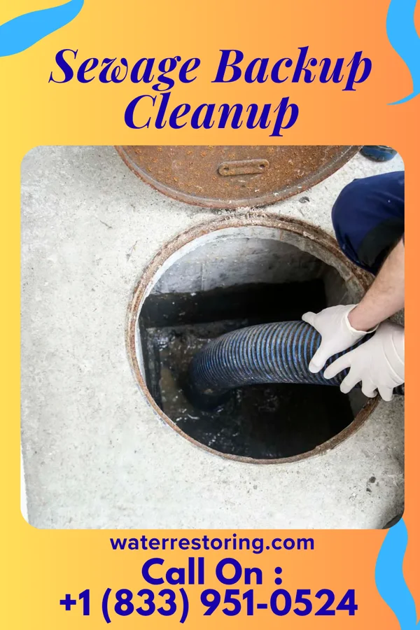 Sewage Backup Cleanup in Linden, NC